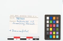 Foto von Bronzebogenfibel (NHMW-PRAE-078064)